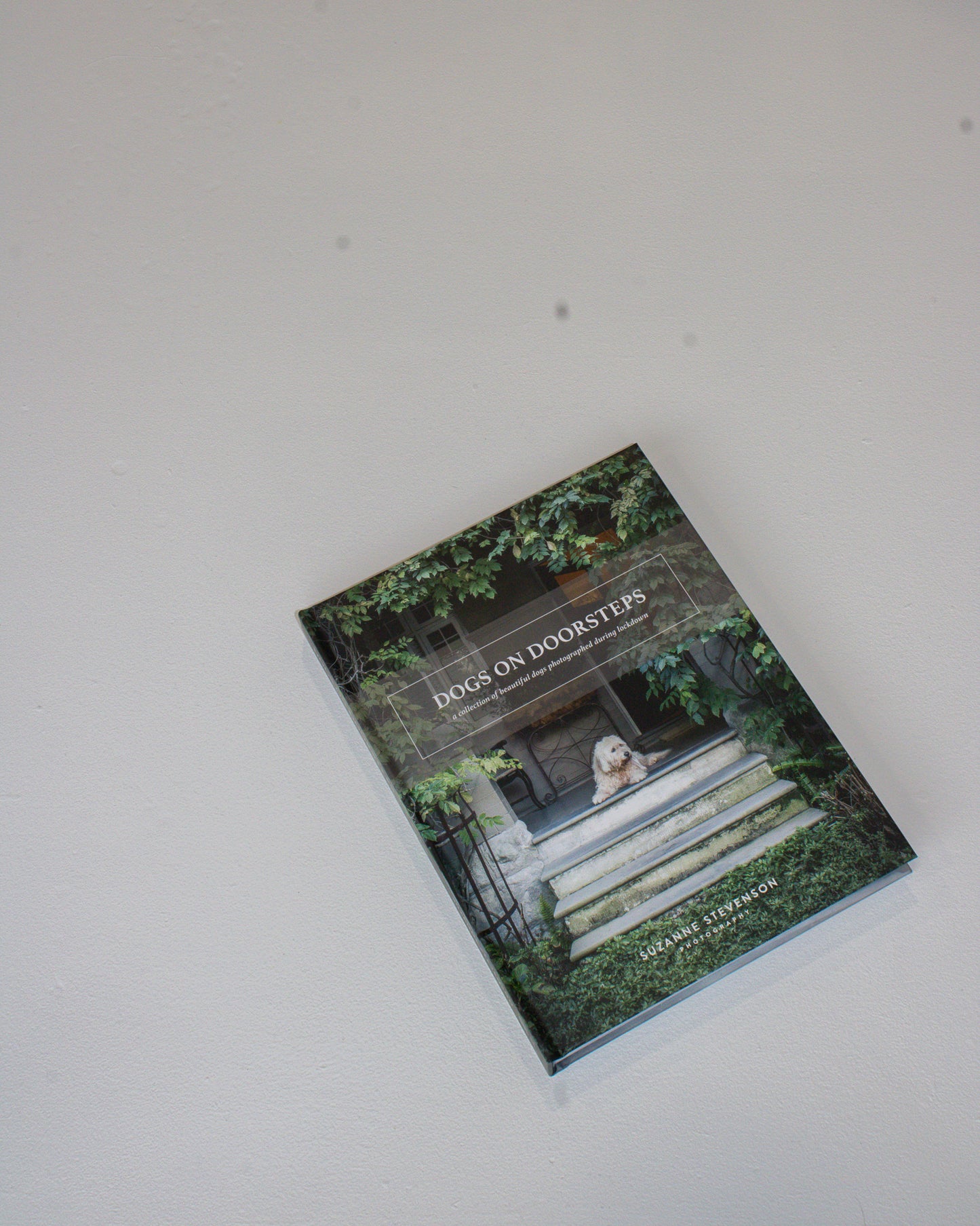 Coffee Table Book // Dogs On Doosteps