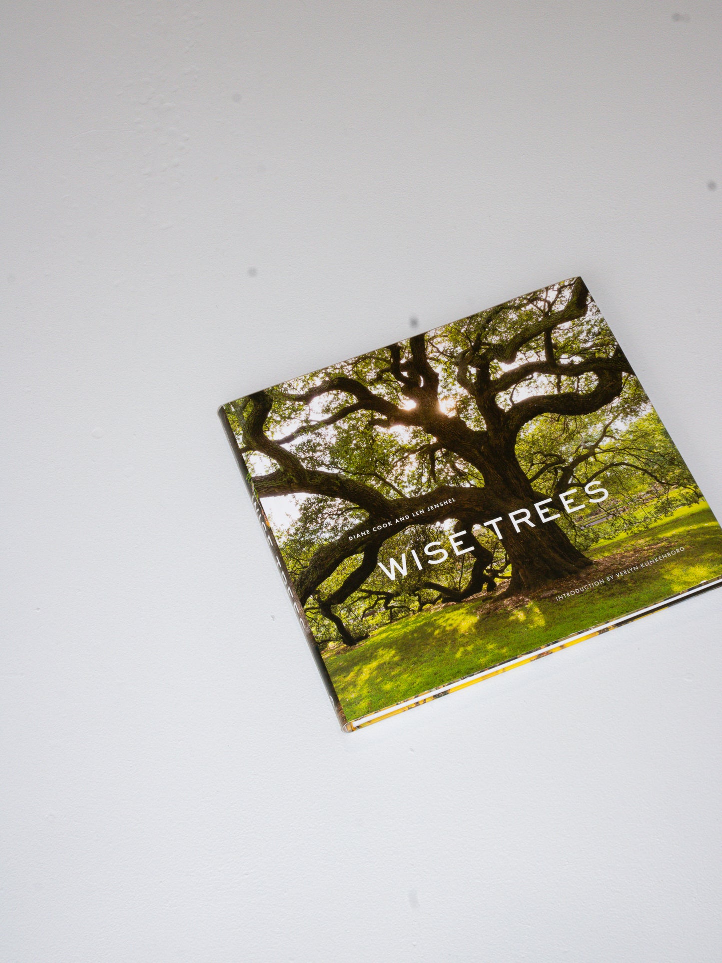 Coffee Table Book // Wise Trees