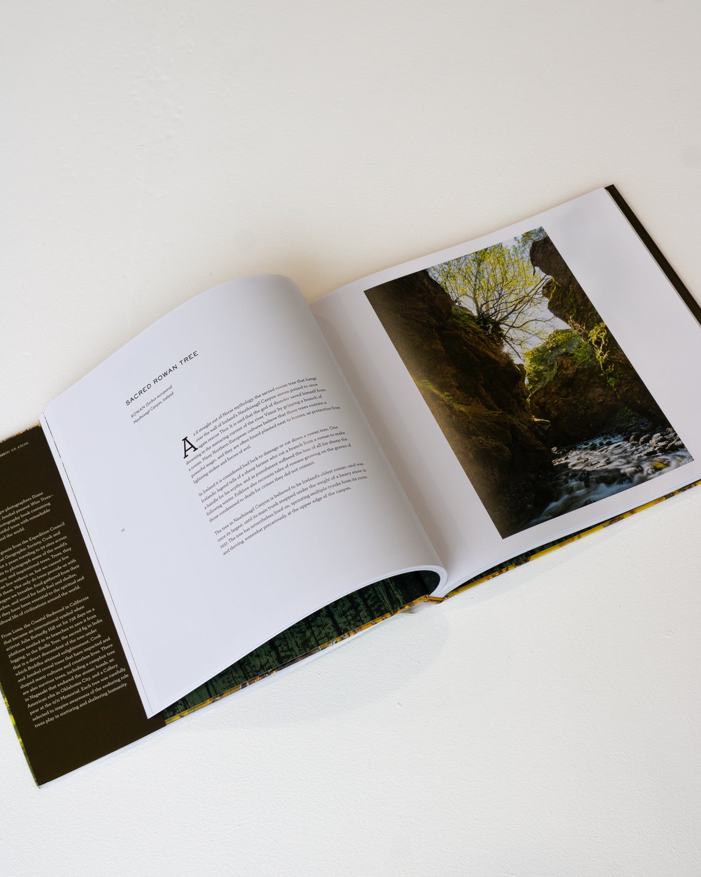 Coffee Table Book // Wise Trees