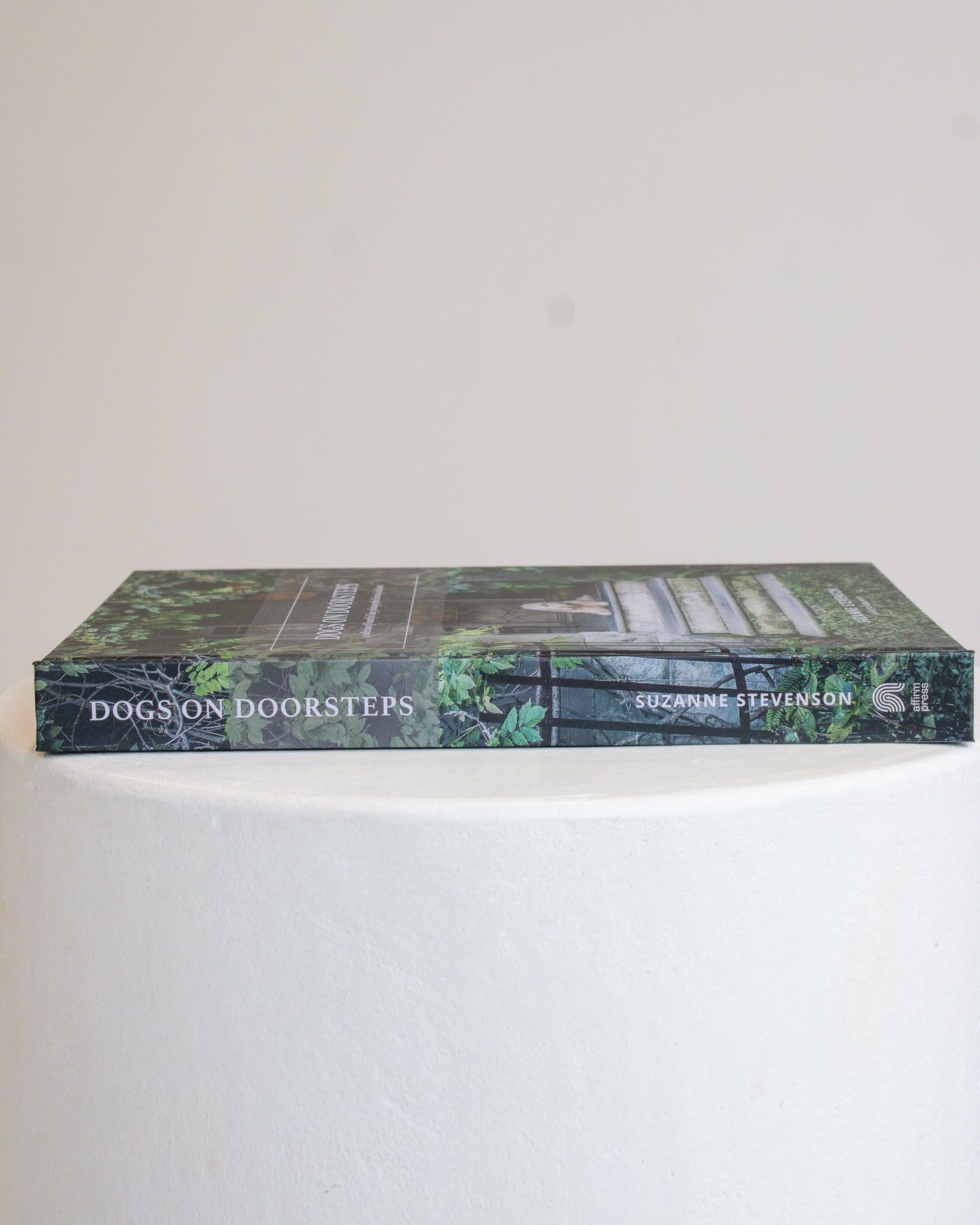 Coffee Table Book // Dogs On Doosteps