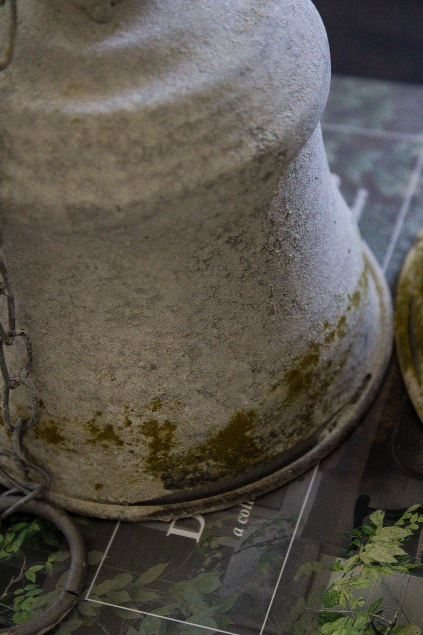 Moss Bell