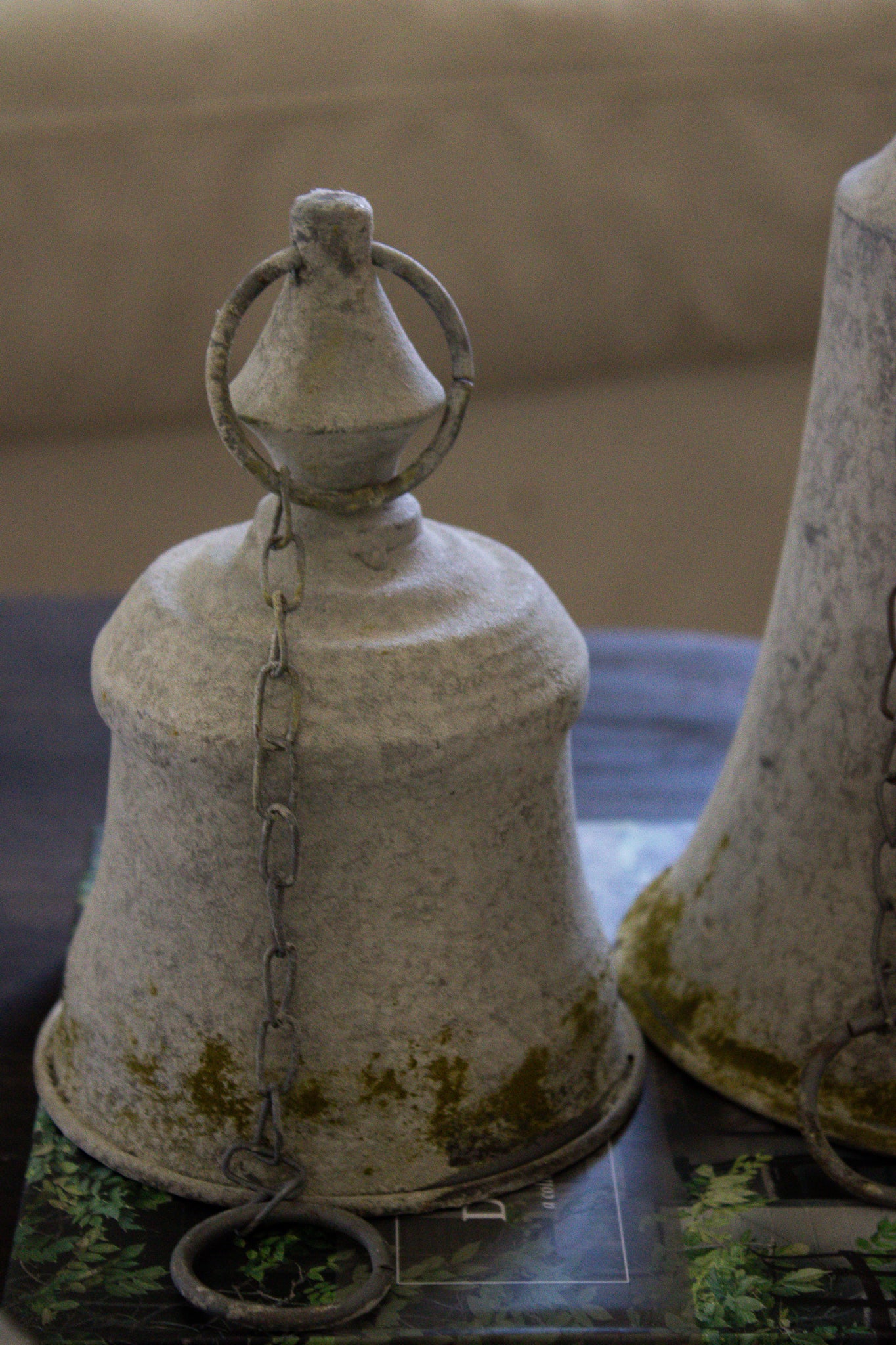 Moss Bell