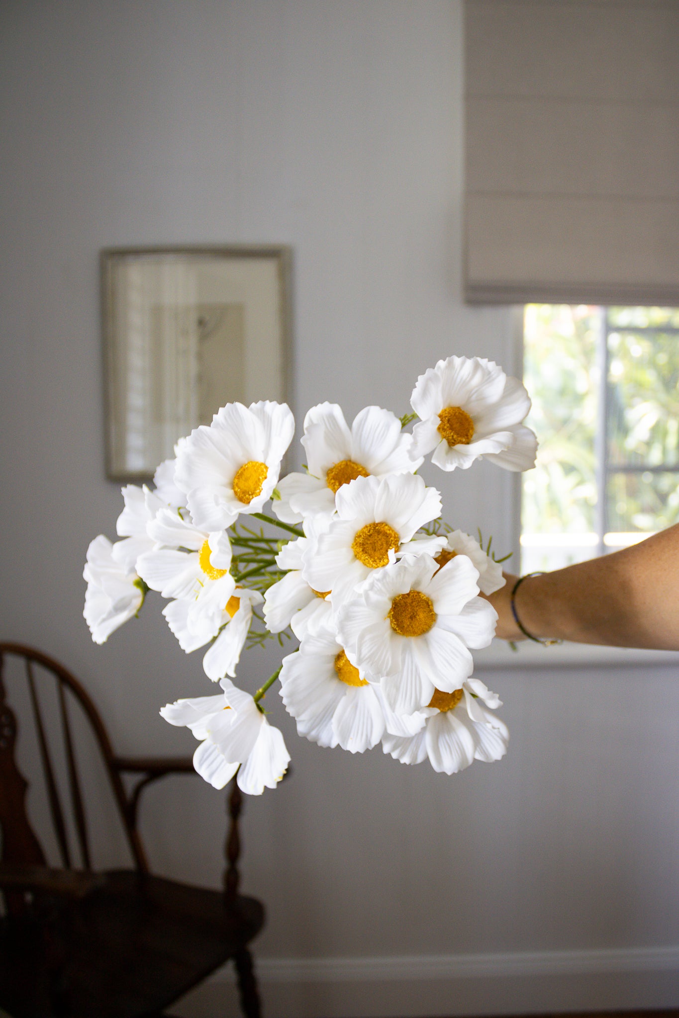 Cosmos Bunch